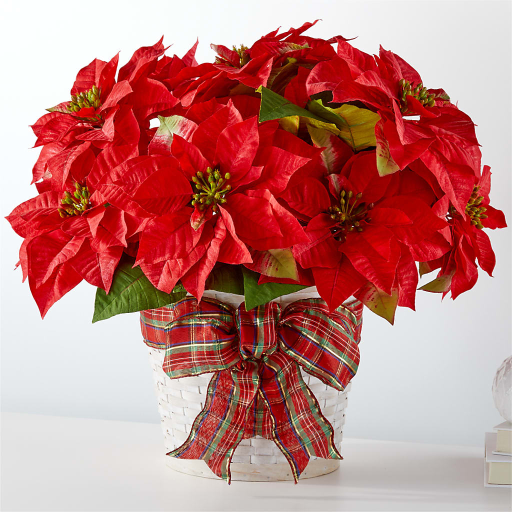 Happiest Holidays Poinsettia – Bouquet.com, Tontitown AR