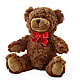 Adorable Plush Bear – Bouquet.com, Tontitown AR
