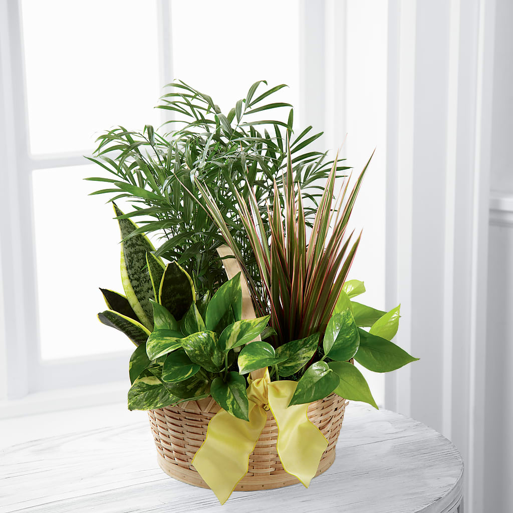 French Garden – Bouquet.com, Tontitown AR