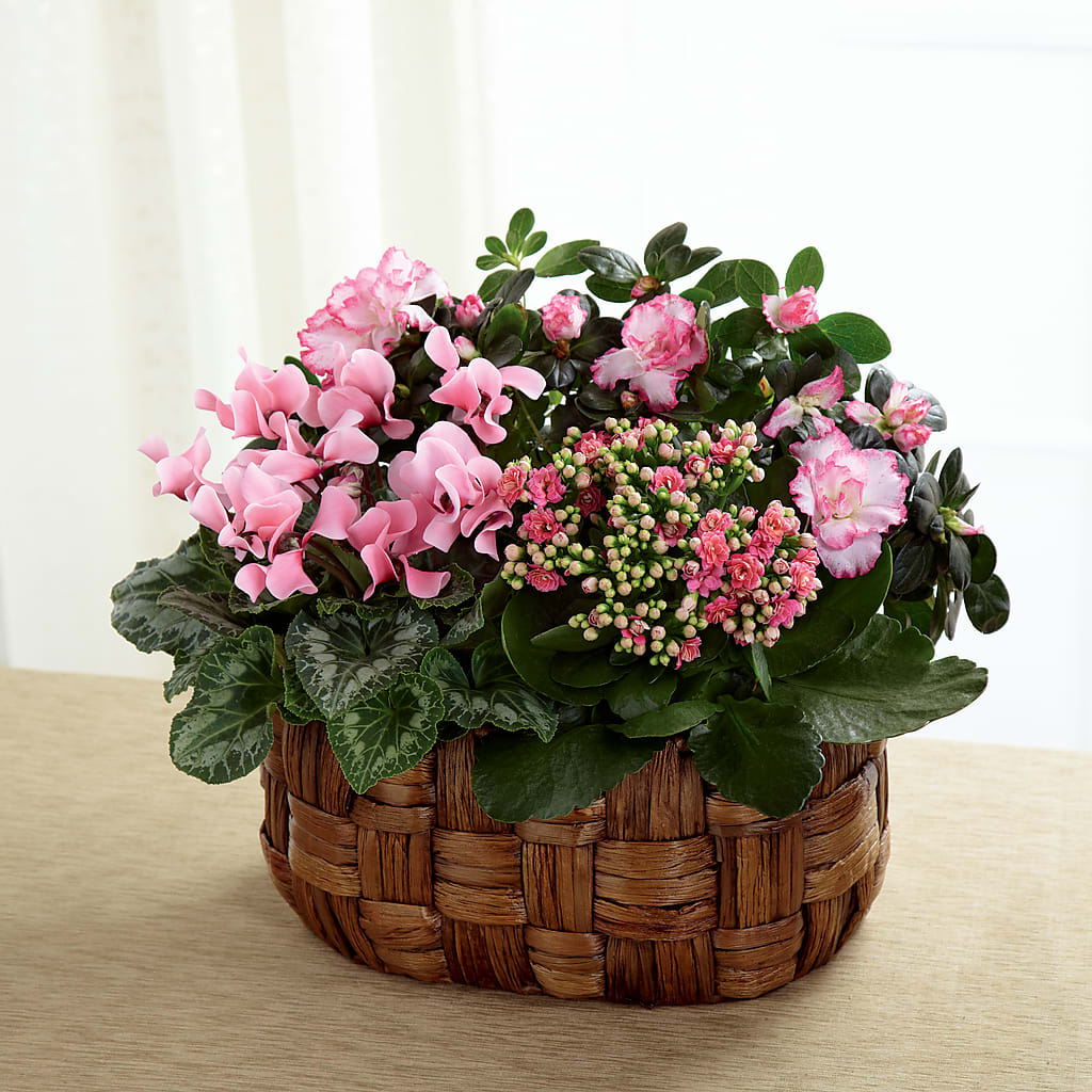Pink Assortment – Bouquet.com, Tontitown AR