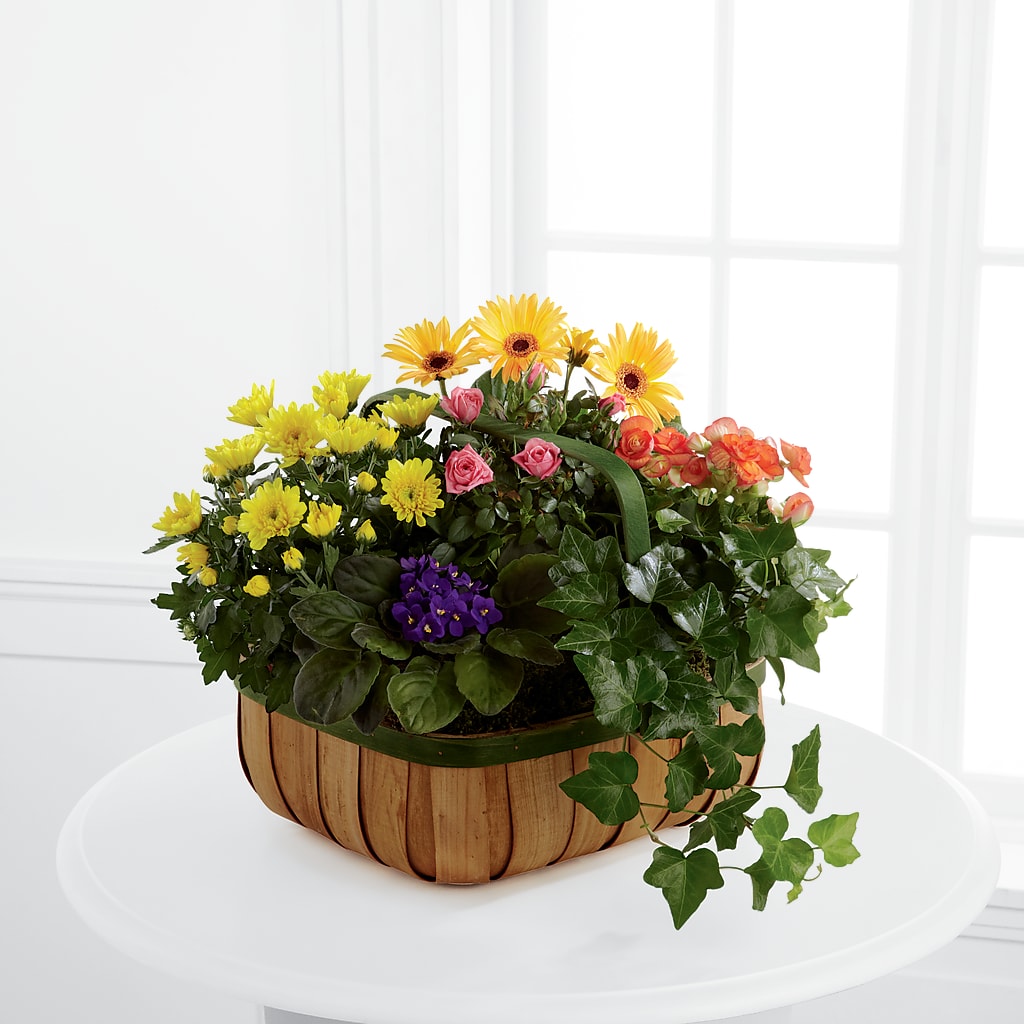 Gentle Blossoms Basket – Bouquet.com, Tontitown AR