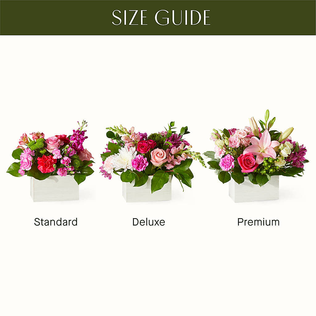 Sweetberry Box – A Florist Original – Bouquet.com, Tontitown AR