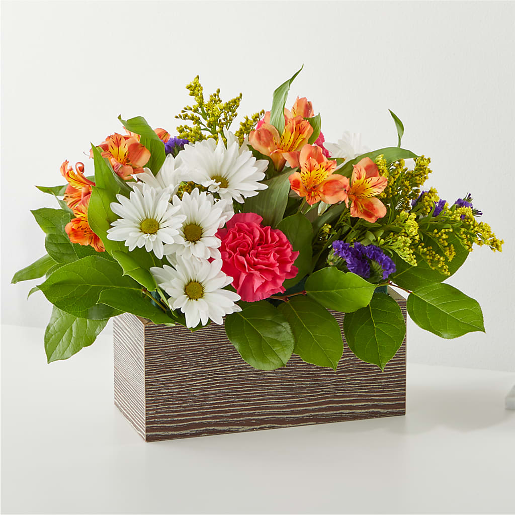 Oopsie Daisy Box Bouquet – Bouquet.com, Tontitown AR