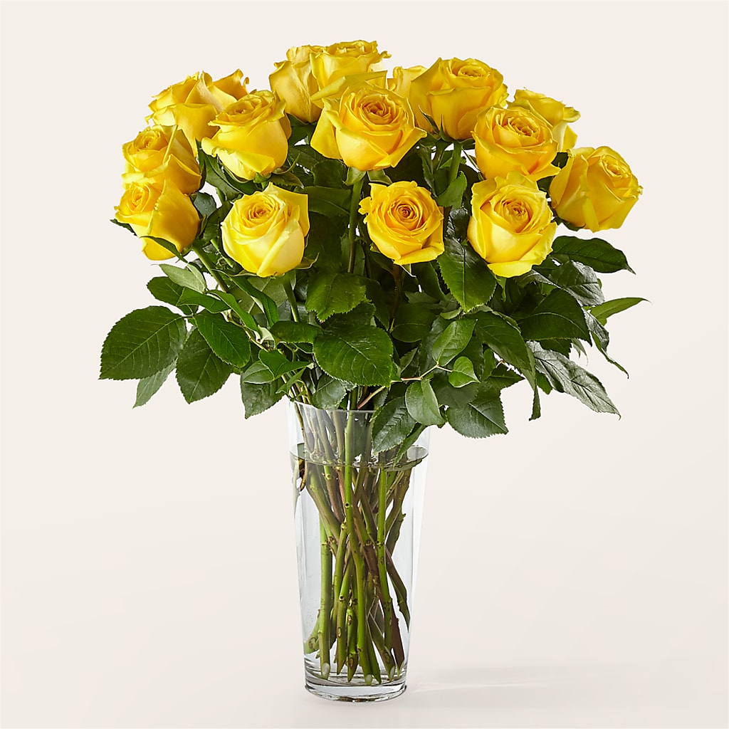 Long Stem Yellow Rose Bouquet – Bouquet.com, Tontitown AR