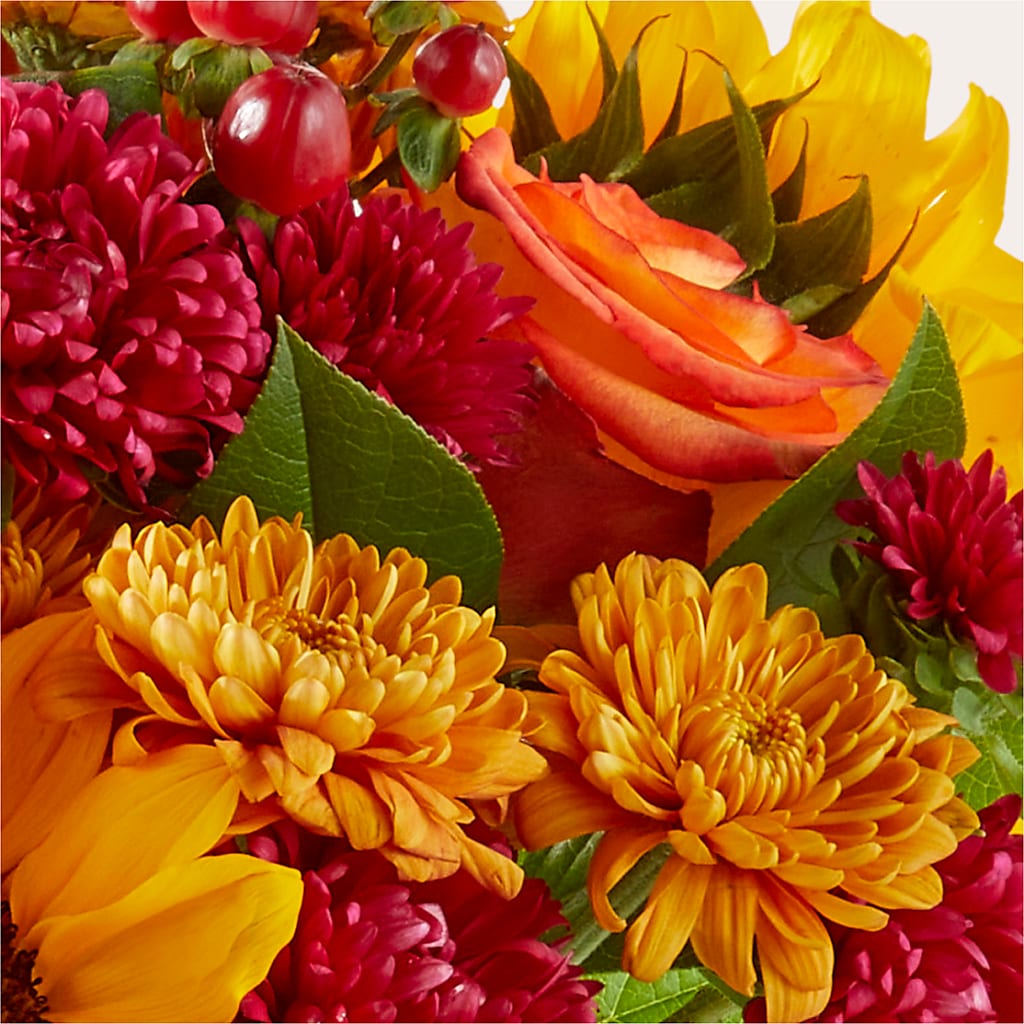 Sweater Season - A Florist Original – Bouquet.com, Tontitown AR