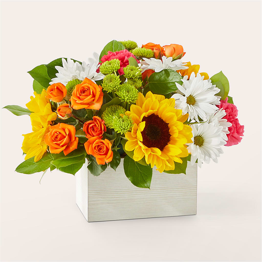 Sun-drenched Blooms Box Bouquet – Bouquet.com, Tontitown AR