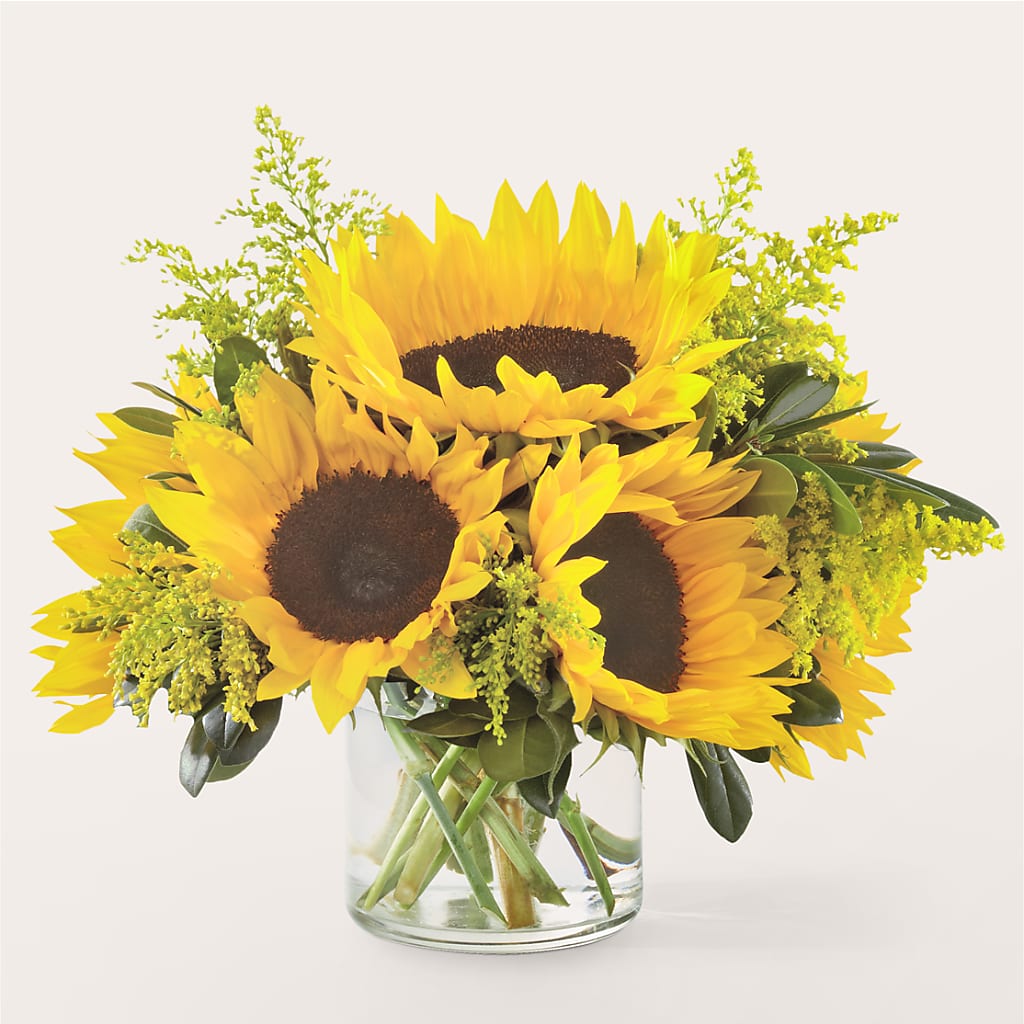 Beaming Sunflower Bouquet – Bouquet.com, Tontitown AR