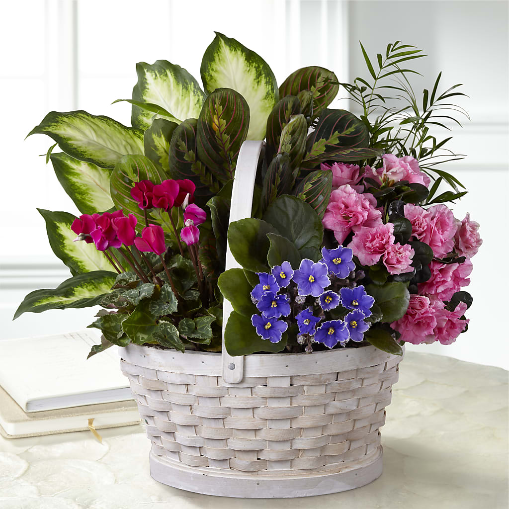 Peaceful Garden Planter – Bouquet.com, Tontitown AR