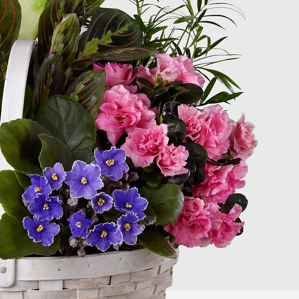 Peaceful Garden Planter – Bouquet.com, Tontitown AR