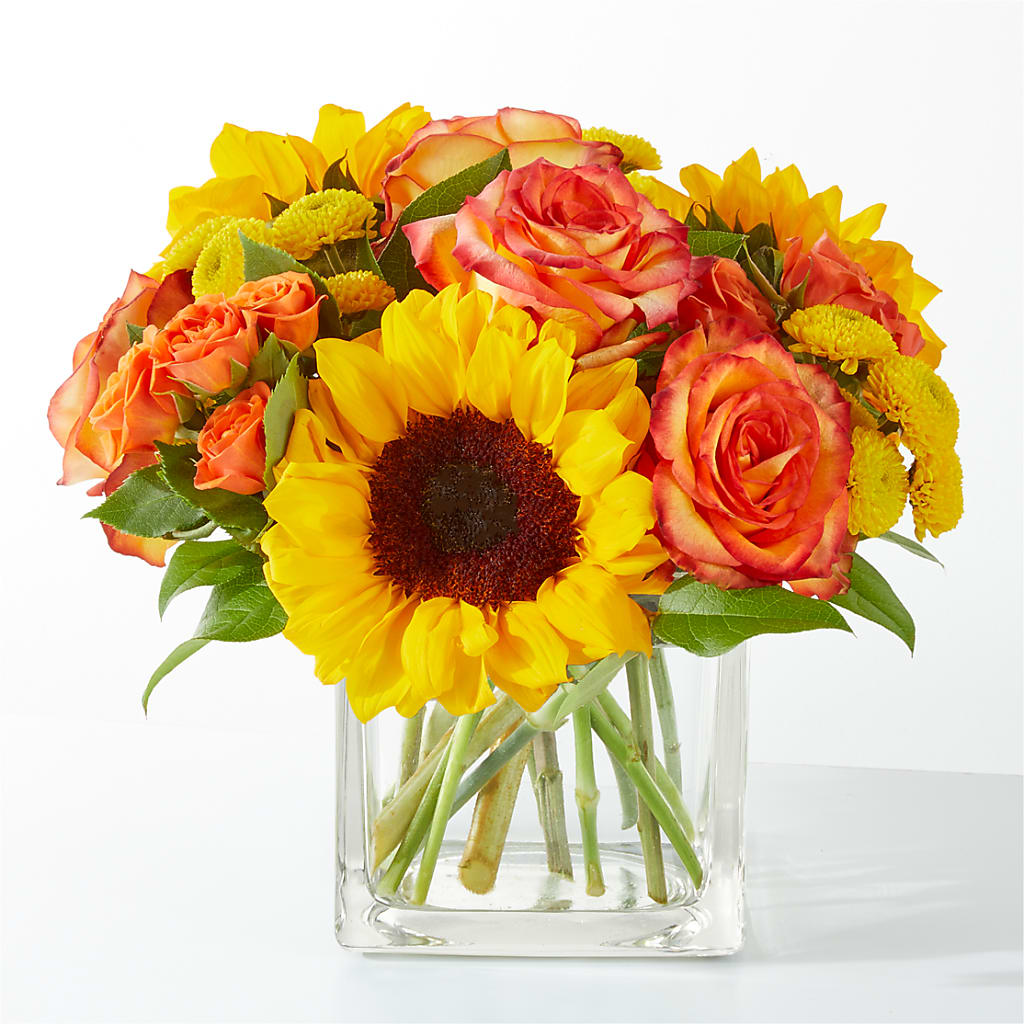 Picnic in the Park Bouquet – Bouquet.com, Tontitown AR