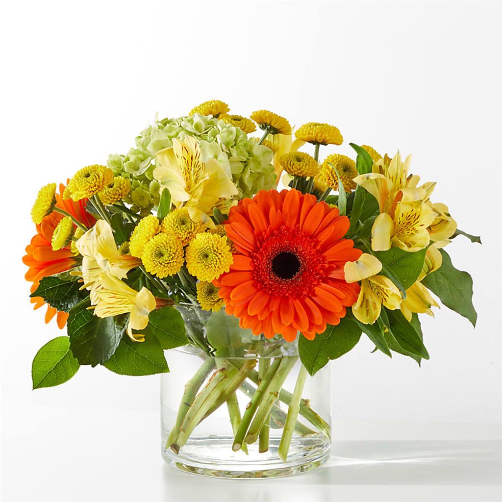 Autumn Sunshine Bouquet – Bouquet.com, Tontitown AR