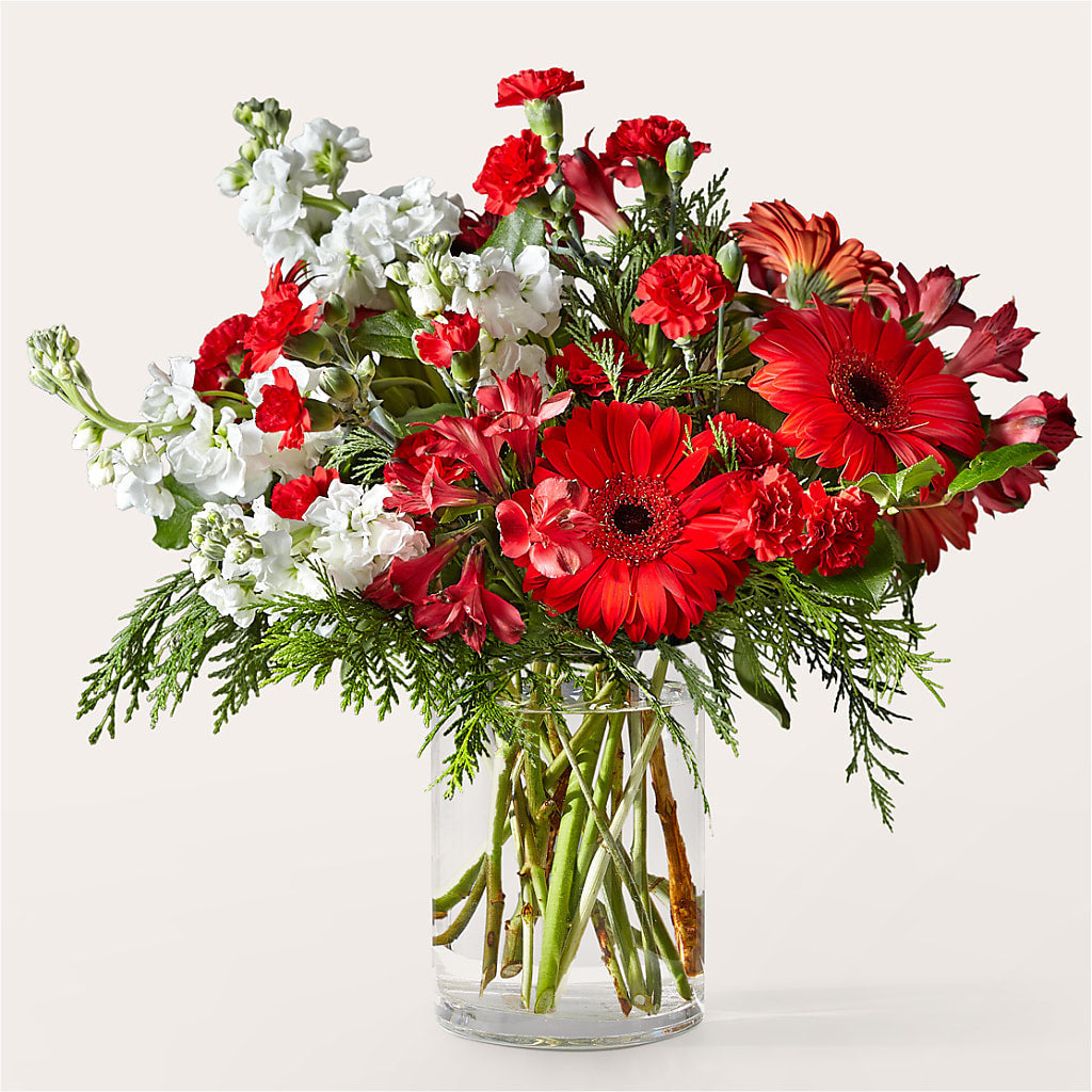 Holidaisy Bouquet – Bouquet.com, Tontitown AR