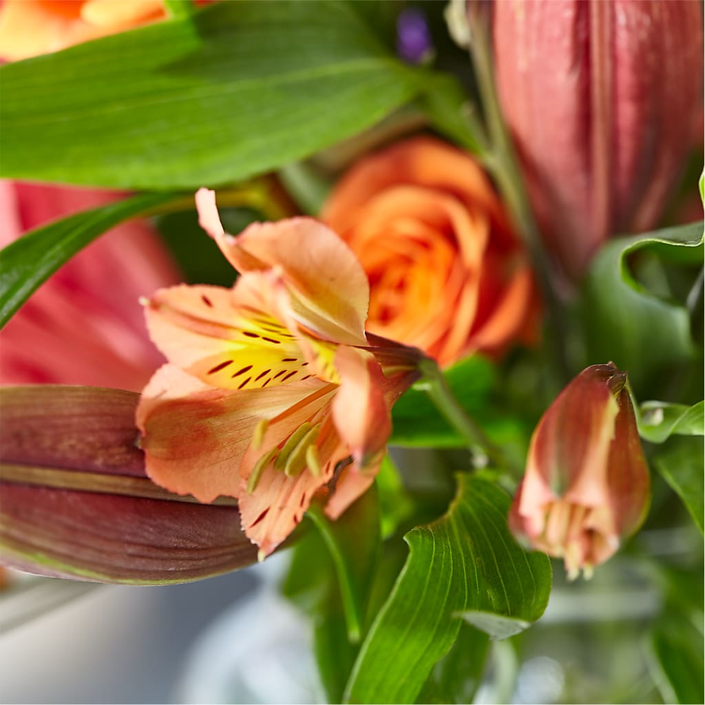 Bold & Bright – A Florist Original –  Bouquet.com, Tontitown AR
