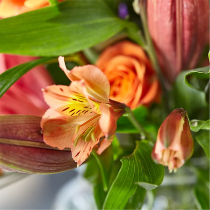 Bold & Bright – A Florist Original –  Bouquet.com, Tontitown AR