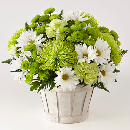 Lucky Charm Basket (Standard) –  Bouquet.com, Tontitown AR