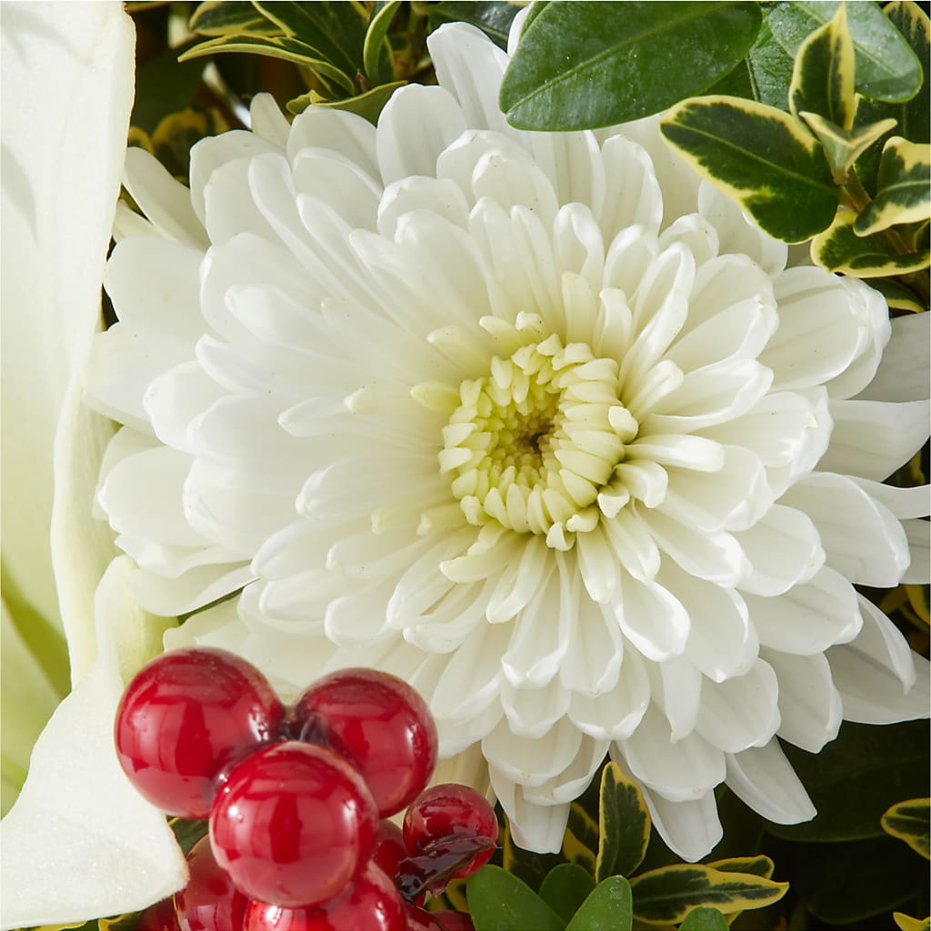 Festive Moments Tree –  Bouquet.com, Tontitown AR