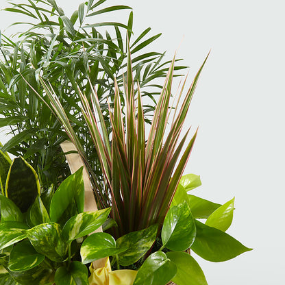 French Garden –  Bouquet.com, Tontitown AR