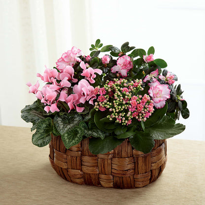 Pink Assortment –  Bouquet.com, Tontitown AR