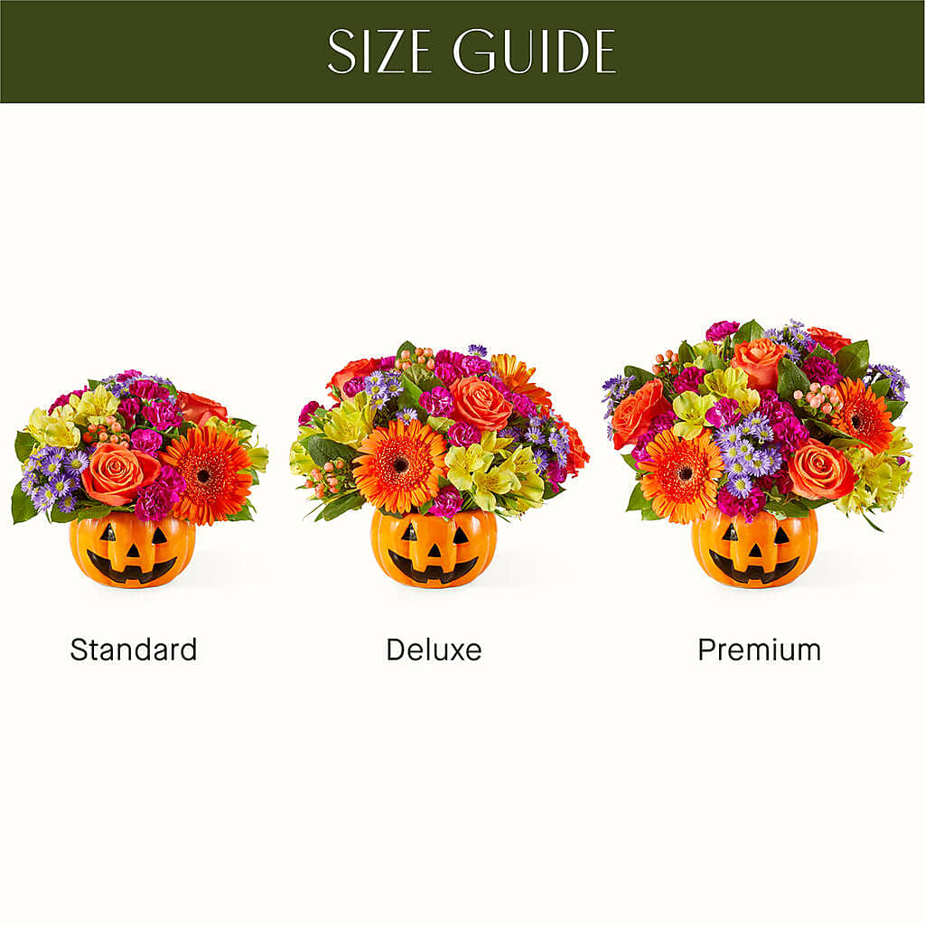 Tricks & Treats Pumpkin –  Bouquet.com, Tontitown AR