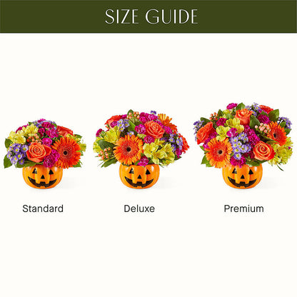 Tricks & Treats Pumpkin –  Bouquet.com, Tontitown AR