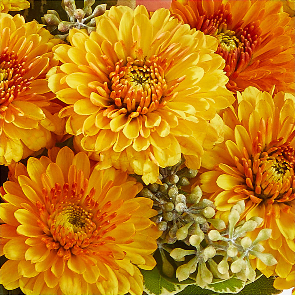 Peachy Pumpkin –  Bouquet.com, Tontitown AR