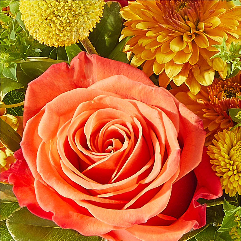 Gourdgeous Pumpkin –  Bouquet.com, Tontitown AR