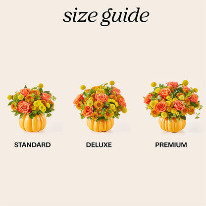 Gourdgeous Pumpkin –  Bouquet.com, Tontitown AR