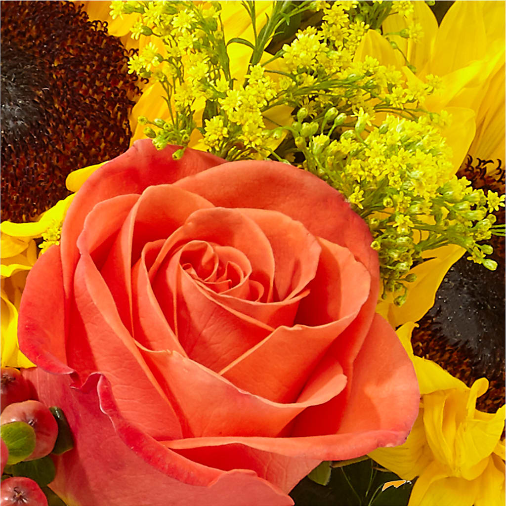 Pick of the Patch Pumpkin Bouquet –  Bouquet.com, Tontitown AR