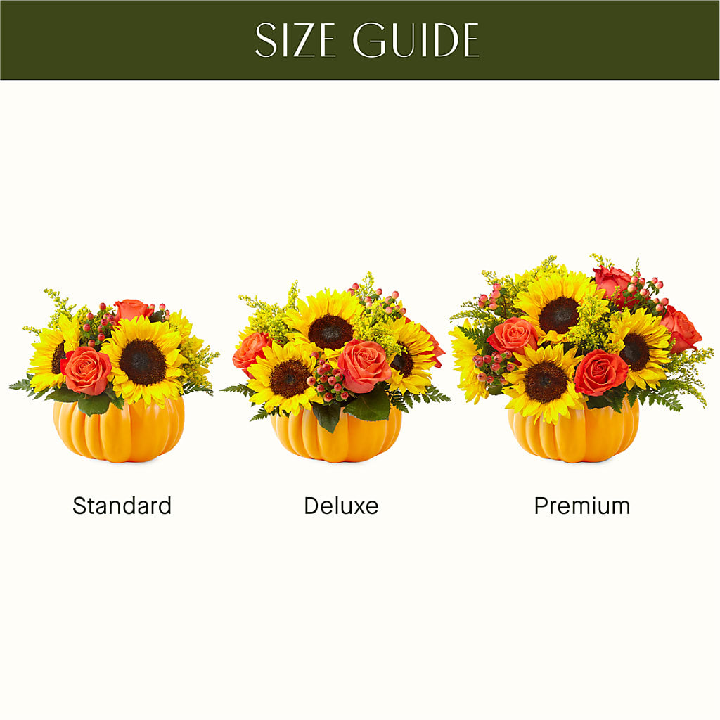 Pick of the Patch Pumpkin Bouquet –  Bouquet.com, Tontitown AR