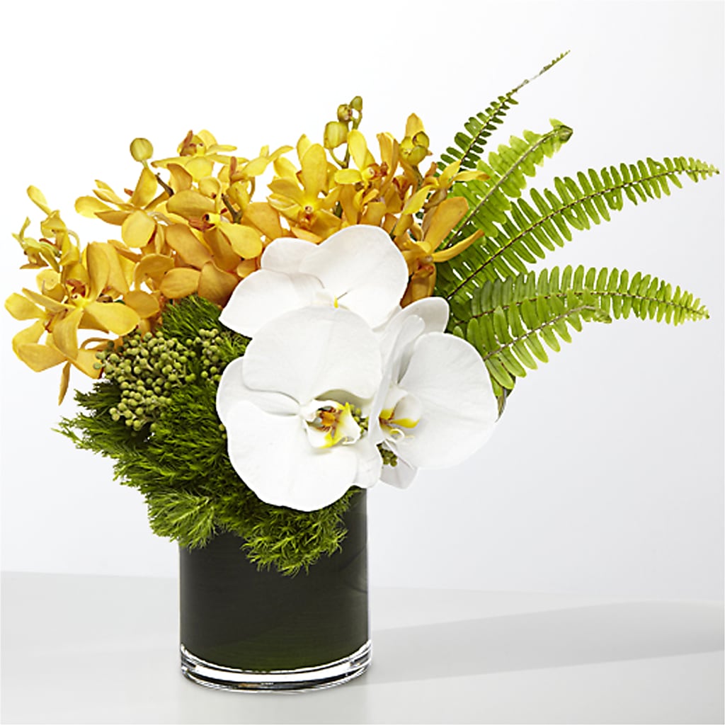 The Tropics –  Bouquet.com, Tontitown AR