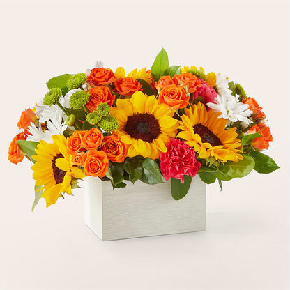 Sun-drenched Blooms Box Bouquet –  Bouquet.com, Tontitown AR