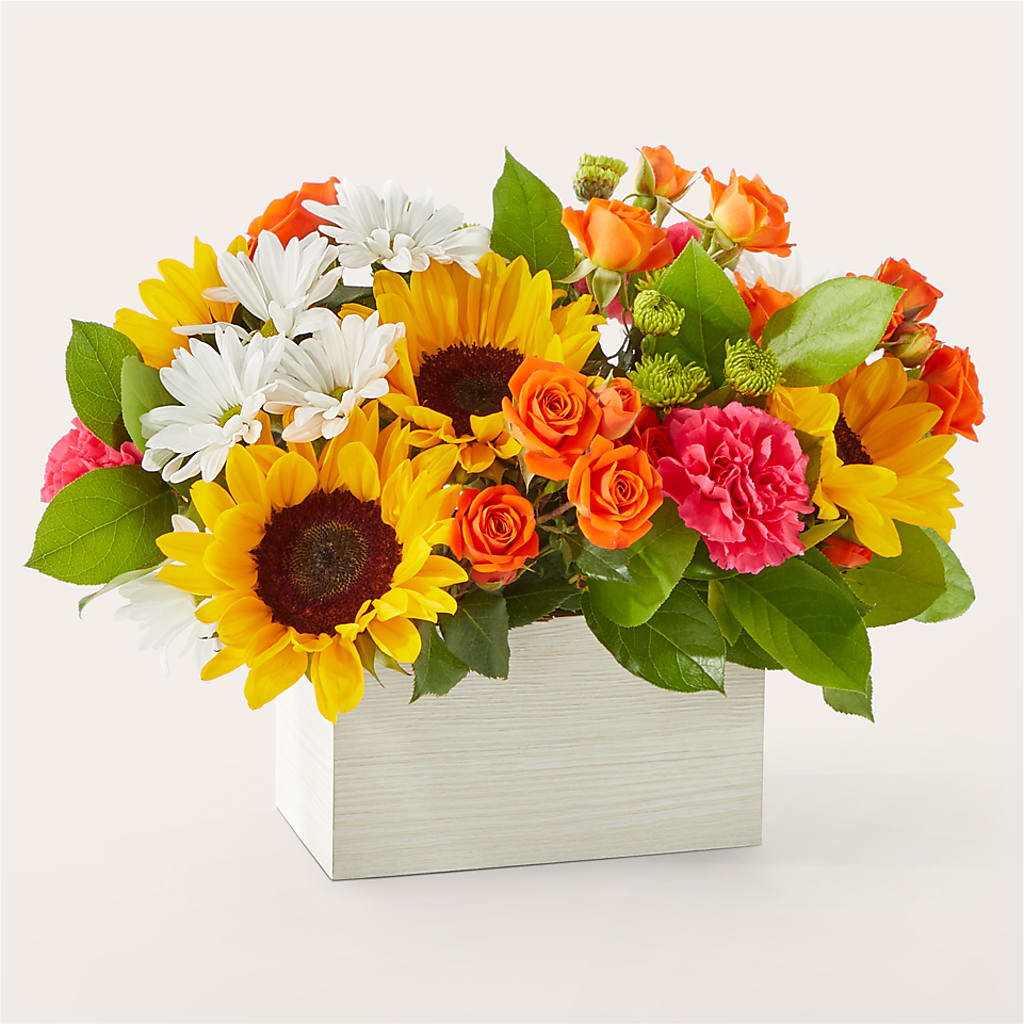 Sun-drenched Blooms Box Bouquet –  Bouquet.com, Tontitown AR