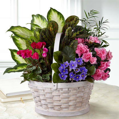 Peaceful Garden Planter –  Bouquet.com, Tontitown AR