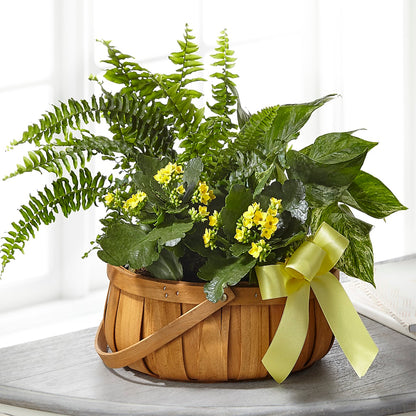 Always Dear Dishgarden –  Bouquet.com, Tontitown AR