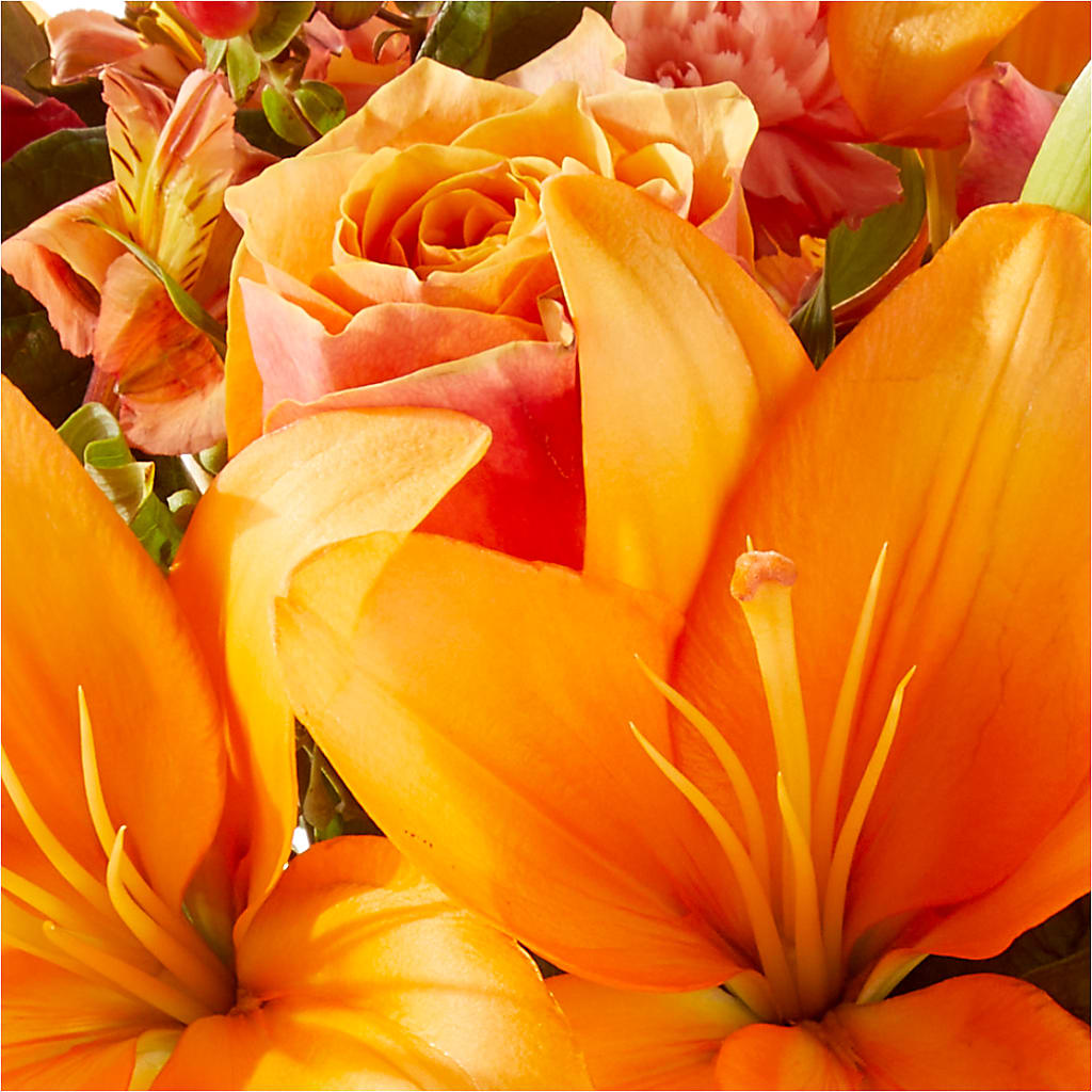 Afternoon Light Bouquet –  Bouquet.com, Tontitown AR