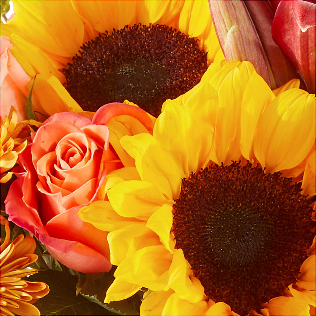 Acorn Lane Bouquet –  Bouquet.com, Tontitown AR