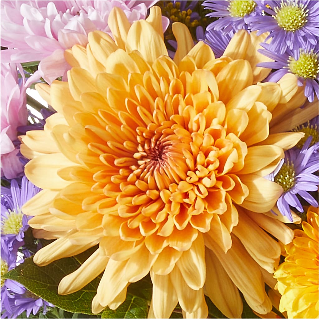 Countryside Bouquet –  Bouquet.com, Tontitown AR