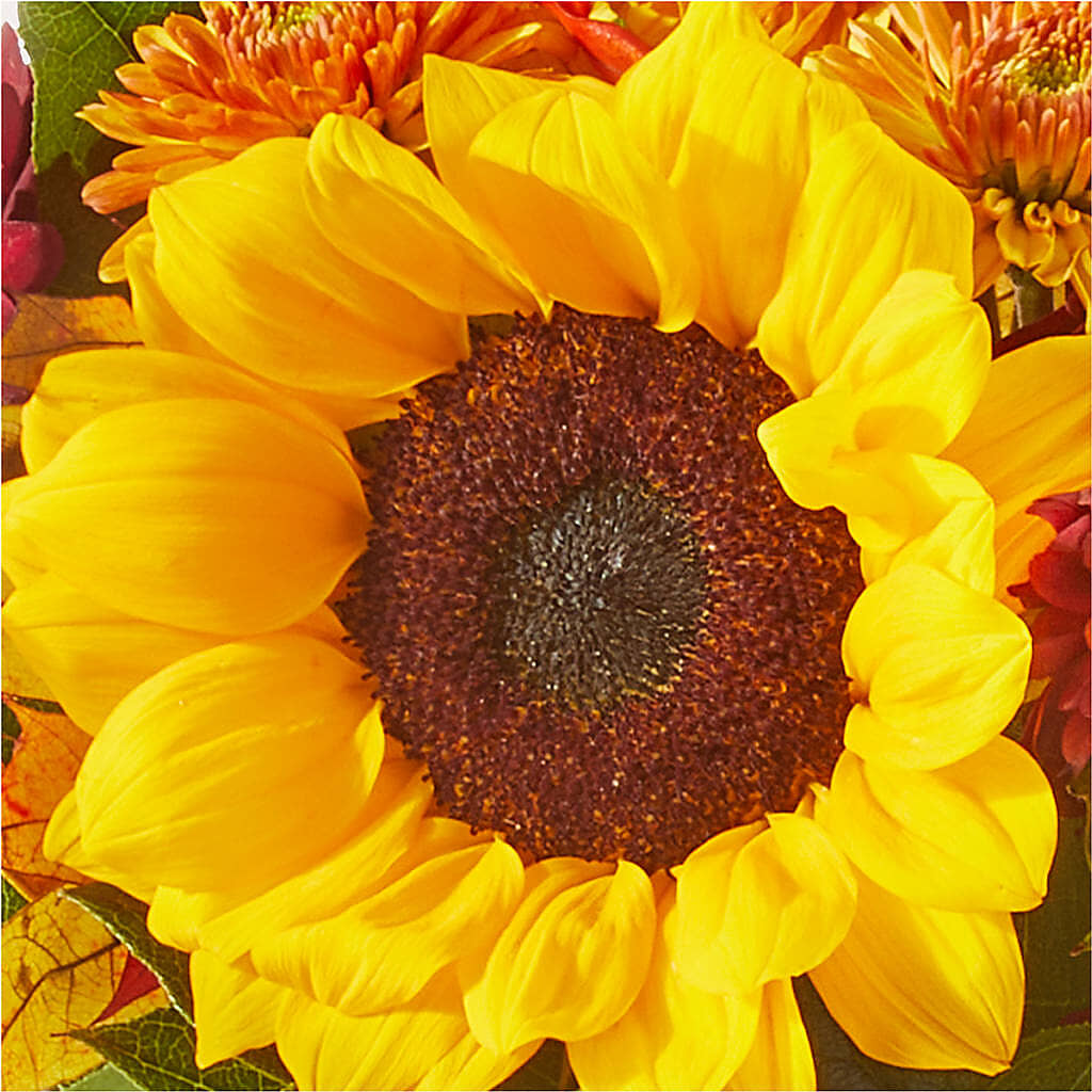 Sunny Side Bouquet –  Bouquet.com, Tontitown AR