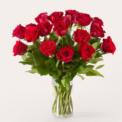 The One Red Rose Bouquet –  Bouquet.com, Tontitown AR