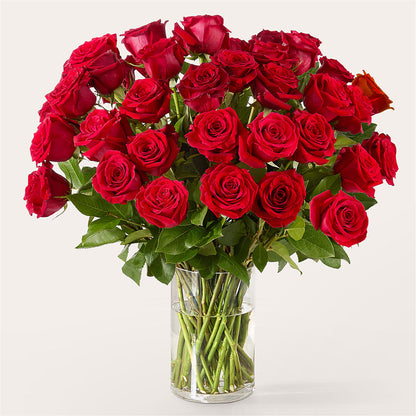 The One Red Rose Bouquet –  Bouquet.com, Tontitown AR