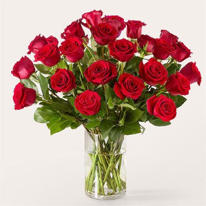 The One Red Rose Bouquet –  Bouquet.com, Tontitown AR