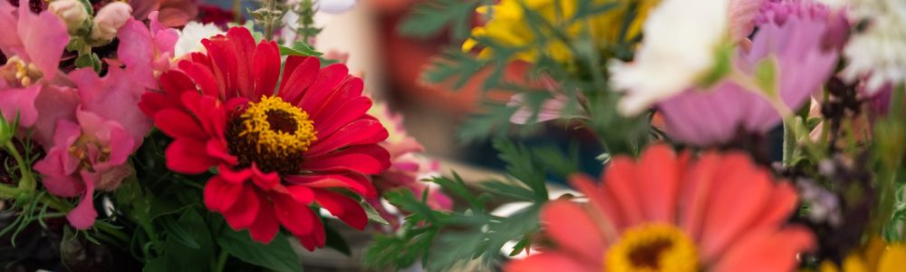 uptownFlowerShop_Image_1770845710637.jpeg