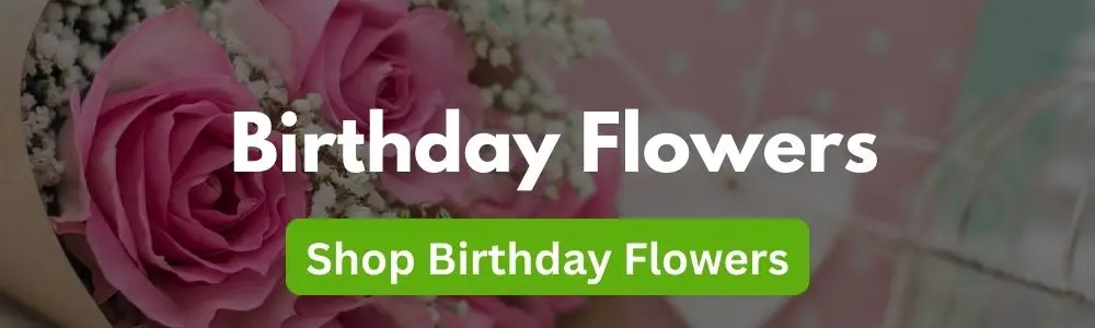 Shop Birthday Flowers